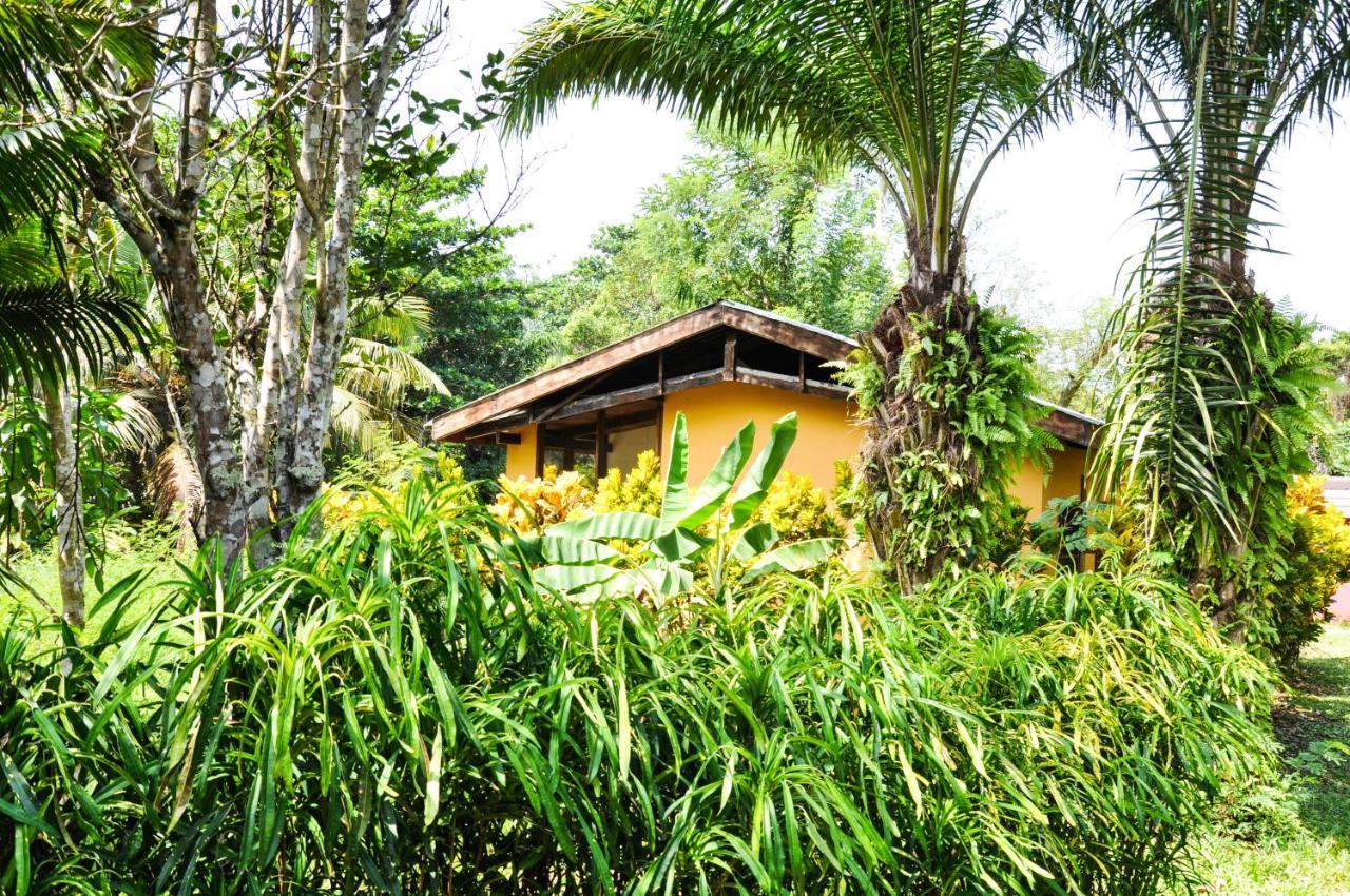 Ankobra Beach Resort Axim Habitación foto
